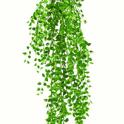 UV-Trailer: Ruscus Fern 120cm - artificial plants, flowers & trees - image 9