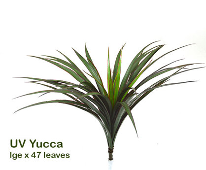 Yuccas- UV-stable...lge