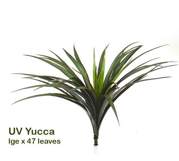 Yuccas- UV-stable...lge