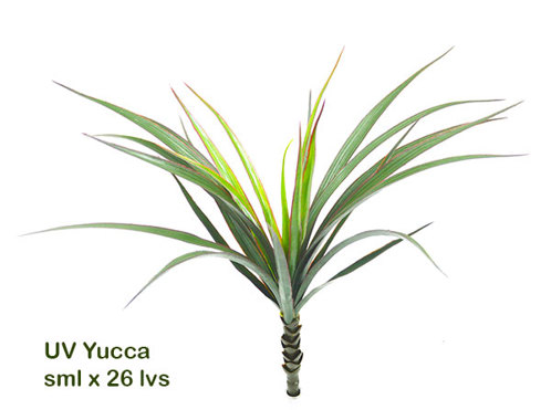 Yuccas- UV-stable...small