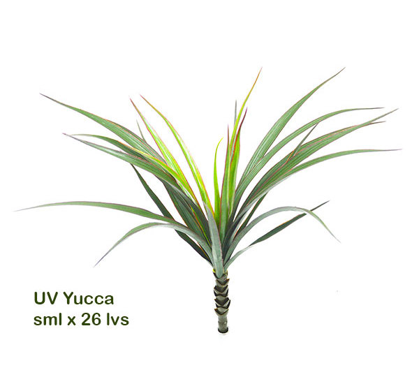 Yuccas- UV-stable...small