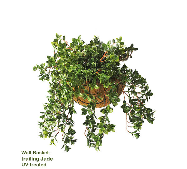 Wall-Baskets Jade UV- sml