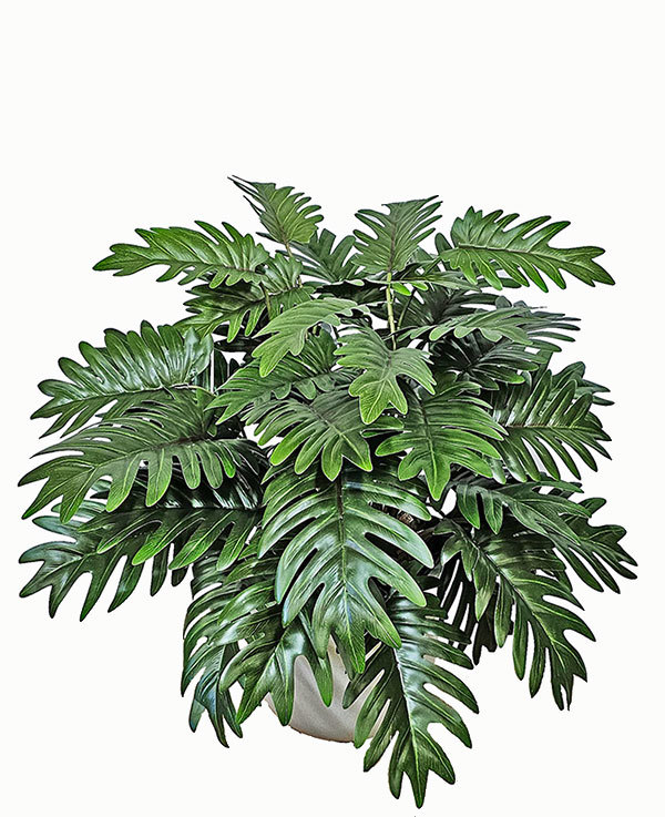 Articial Plants - Greenery Bowls- Xanadus