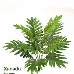 Philo Xanadu 55cm - artificial plants, flowers & trees - image 1