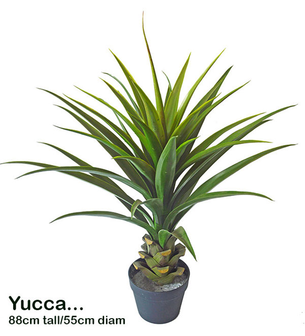 Articial Plants - Yucca- 88cm in plastic pot