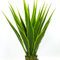 Yucca- variegated 1m - artificial plants, flowers & trees - image 10