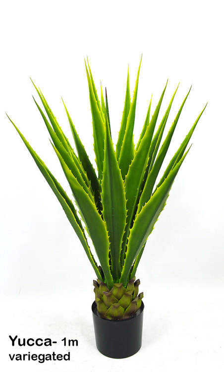Articial Plants - Yucca- variegated 1m
