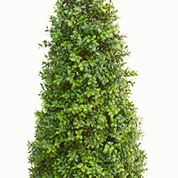 Boxwood Cone 120cm UV - artificial plants, flowers & trees - image 3
