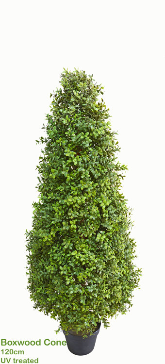 Articial Plants - Boxwood Cone 120cm UV