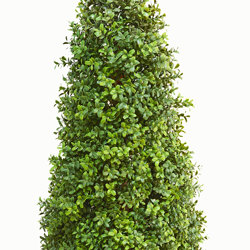 Boxwood Cone 90cm UV - artificial plants, flowers & trees - image 3