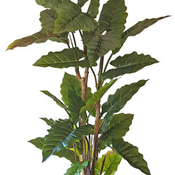 Alocasia 'dragon-wing' 1.9m delux - artificial plants, flowers & trees - image 8