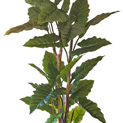 Alocasia 'dragon-wing' 1.9m delux - artificial plants, flowers & trees - image 7