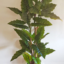 Alocasia 'dragon-wing' 1.9m delux - artificial plants, flowers & trees - image 5