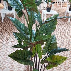 Alocasia 'dragon-wing' 1.9m delux - artificial plants, flowers & trees - image 4