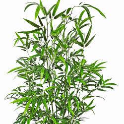 Bali Bamboo 1.6m - artificial plants, flowers & trees - image 2