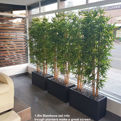 Trough Planters- with Bamboos 1.3m tall - artificial plants, flowers & trees - image 3