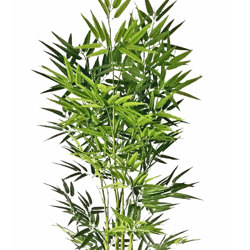 Bamboo UV-treated 1.6m - artificial plants, flowers & trees - image 7
