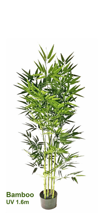 Articial Plants - Bamboo UV-treated 1.6m