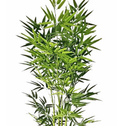 Bamboo UV-treated 1.6m - artificial plants, flowers & trees - image 6