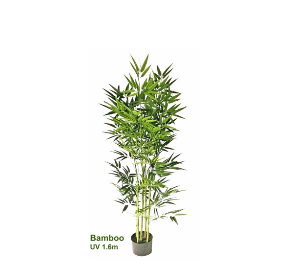 Bamboo UV-treated 1.6m