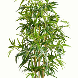 Bamboo 'thai gold' 1.2m - artificial plants, flowers & trees - image 5