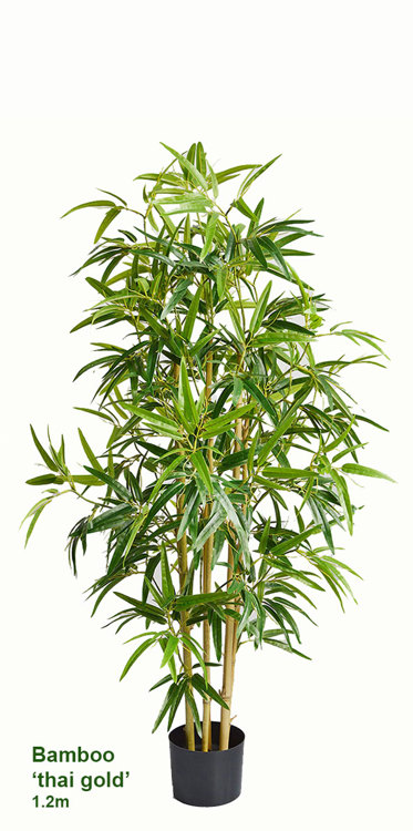 Articial Plants - Bamboo 'thai gold' 1.2m