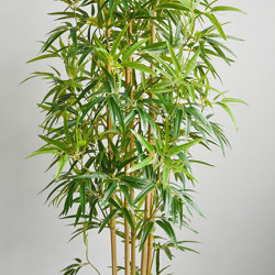 Bamboo 'thai monsoon' 1.8m - artificial plants, flowers & trees - image 4