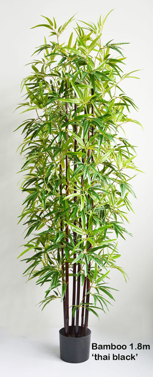 Articial Plants - Bamboo 'thai monsoon' 1.8m