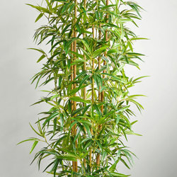 Bamboo 'thai monsoon' 2.1m - artificial plants, flowers & trees - image 8