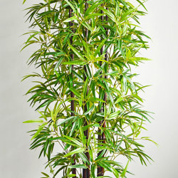 Bamboo 'thai monsoon' 2.1m - artificial plants, flowers & trees - image 6