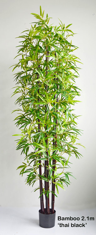 Articial Plants - Bamboo 'thai monsoon' 2.1m