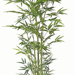 Bamboo UV-treated 1.6m - artificial plants, flowers & trees - image 6