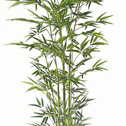 Bamboo UV-treated 1.8m - artificial plants, flowers & trees - image 6