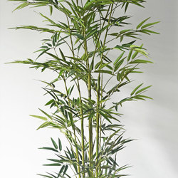 Bamboo UV-treated 1.6m - artificial plants, flowers & trees - image 1