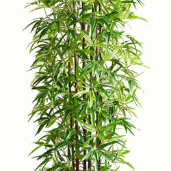 Bamboo 'thai monsoon' 1.8m - artificial plants, flowers & trees - image 8