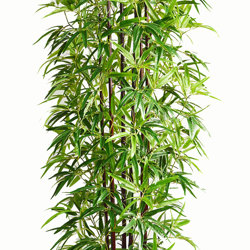 Bamboo 'thai monsoon' 1.8m - artificial plants, flowers & trees - image 4
