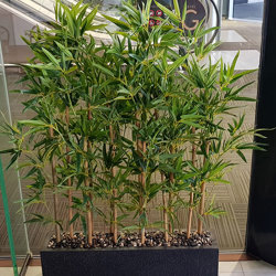 Bamboo 'thai gold' 1.5m - artificial plants, flowers & trees - image 4