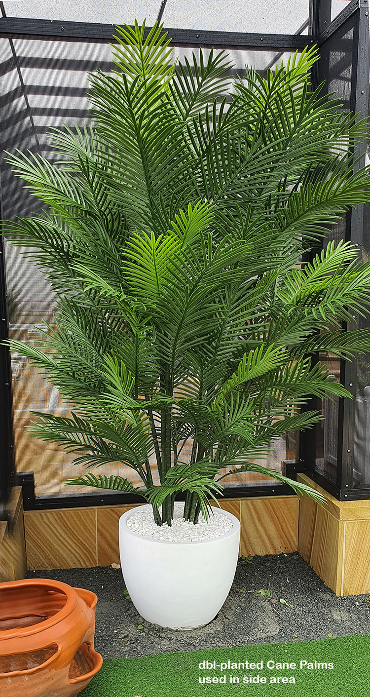 Cane Palm 1.75m-UV stable