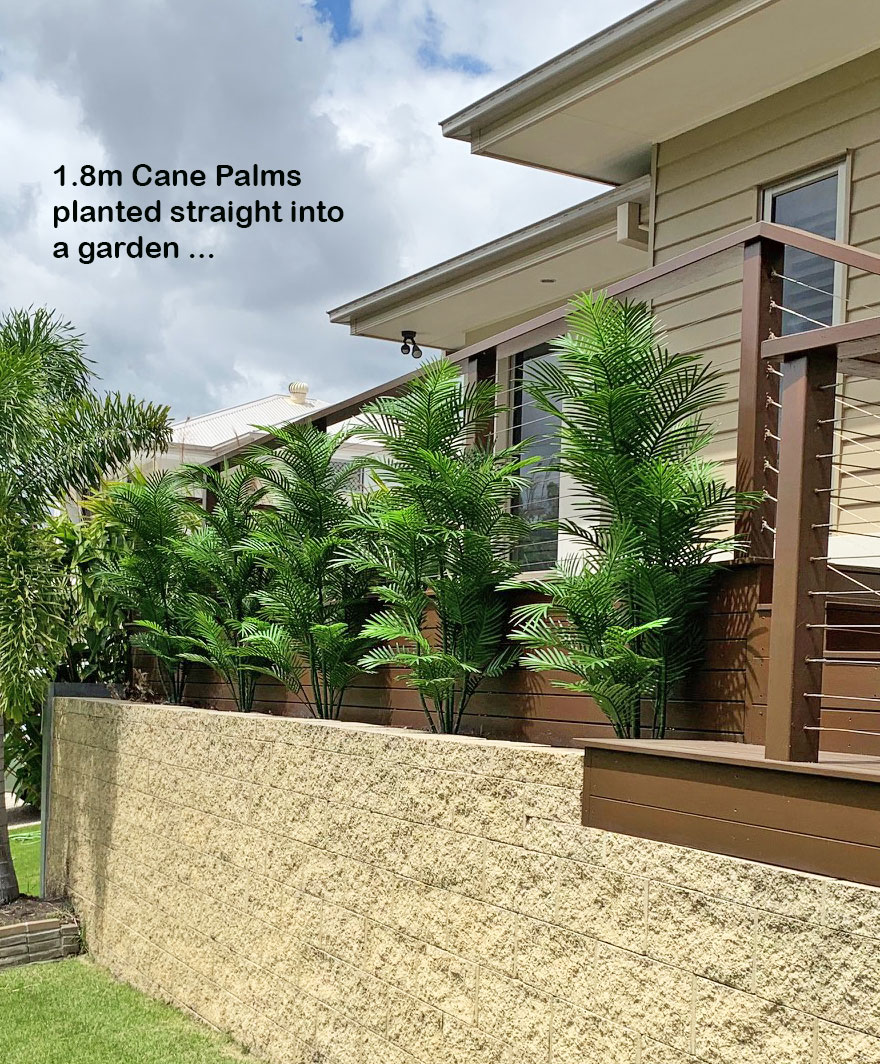Cane Palm 1.75m-UV stable