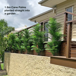 Cane Palm 1.75m-UV stable - artificial plants, flowers & trees - image 2