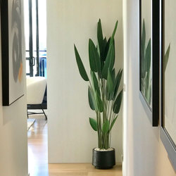 Artificial Bird of Paradise Plant 1.6m - artificial plants, flowers & trees - image 1