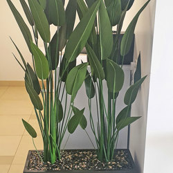 Trough Planters- with Bird-o-Paradise 1.75m tall  - artificial plants, flowers & trees - image 9
