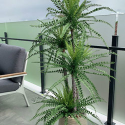 Button Palm 1.5m x 4 heads - artificial plants, flowers & trees - image 2