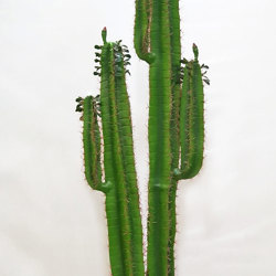 Arizona Cactus 1.6m - artificial plants, flowers & trees - image 4