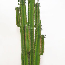 Arizona Cactus 1.6m - artificial plants, flowers & trees - image 5