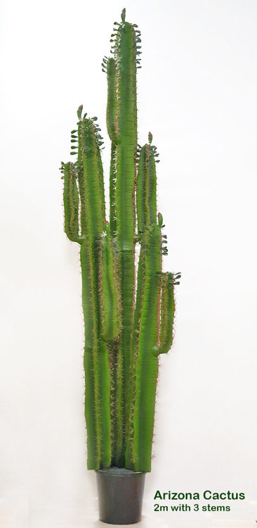 Articial Plants - Arizona Cactus 2m triple-stem