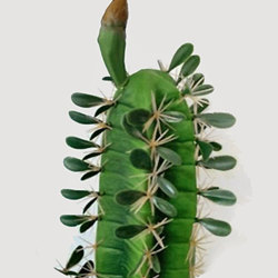 Arizona Cactus 2m triple-stem - artificial plants, flowers & trees - image 1