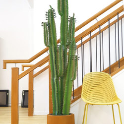 Cactii- Arizona Cactus 2m triple-stem - artificial plants, flowers & trees - image 2