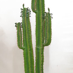 Cactii- Arizona Cactus 2m triple-stem - artificial plants, flowers & trees - image 3