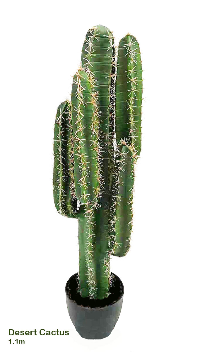Cactii- Desert Cactus 1.1m